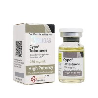 Cypo-Testosterone 250 HP Beligas
