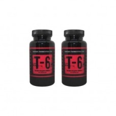 ZION LABS T-6 60 kapsul 2x Zion Labs